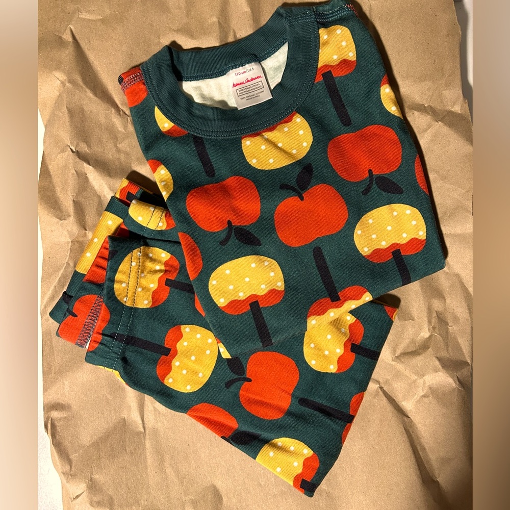 Toddler Boys or UNISEX Hanna Andersson Fall Pajamas —organic cotton  size 5